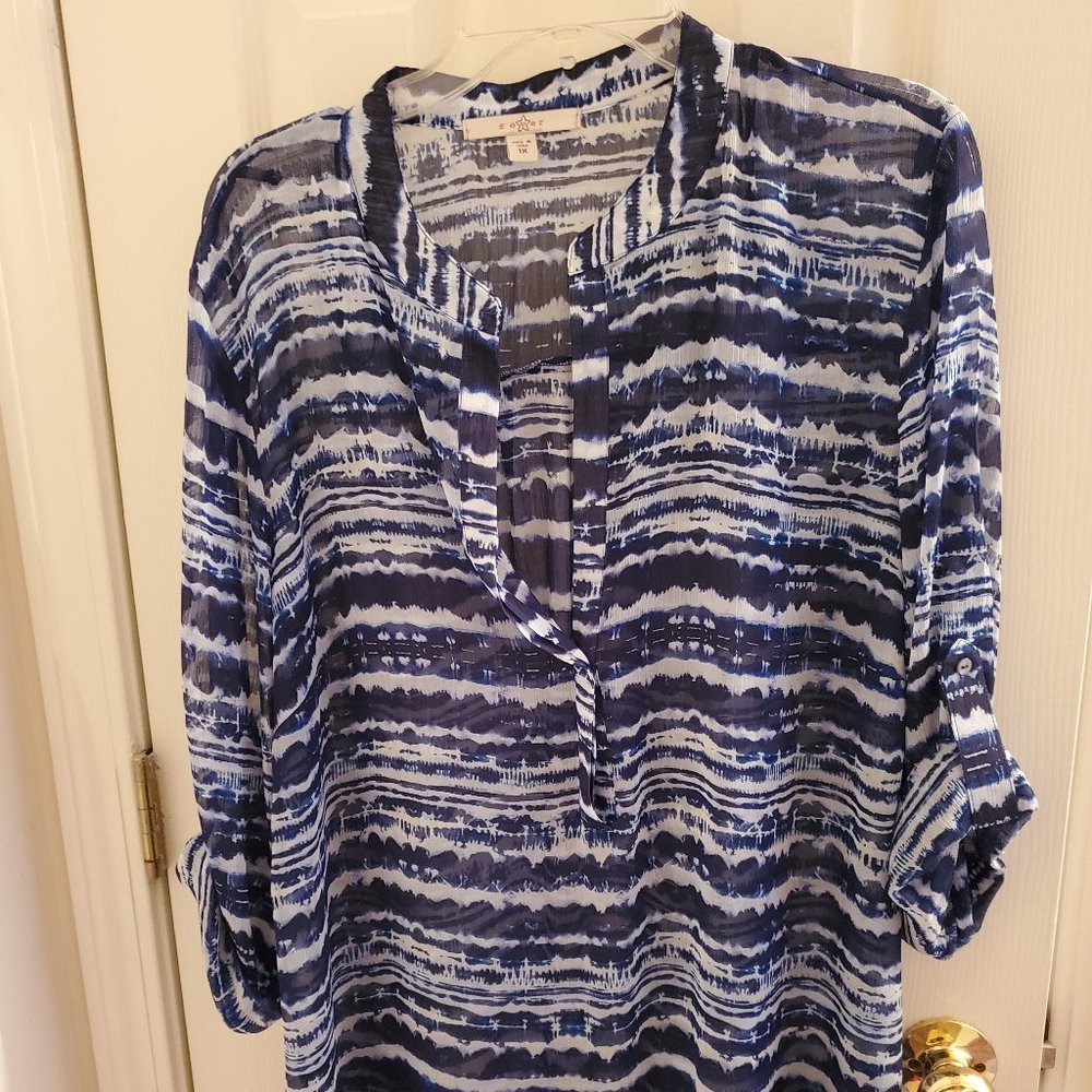 Sheer Long Sleeve Tunic